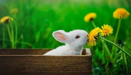 开云体育在线赛事直播-中国女篮强调团队协作 增强比赛掌控力，中国女篮很强